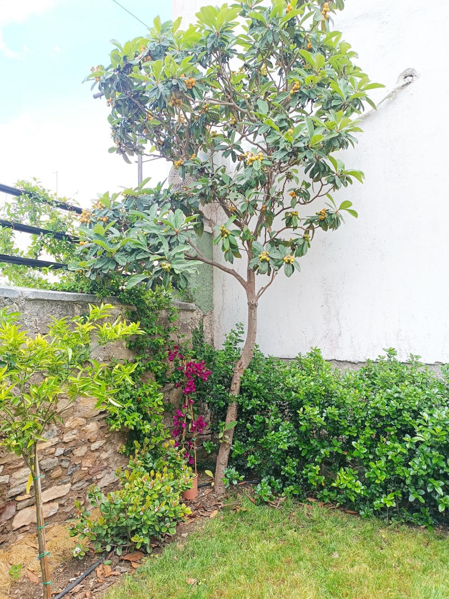 Betty'S Garden House Βίλα Νέα Αγχίαλος Δωμάτιο φωτογραφία