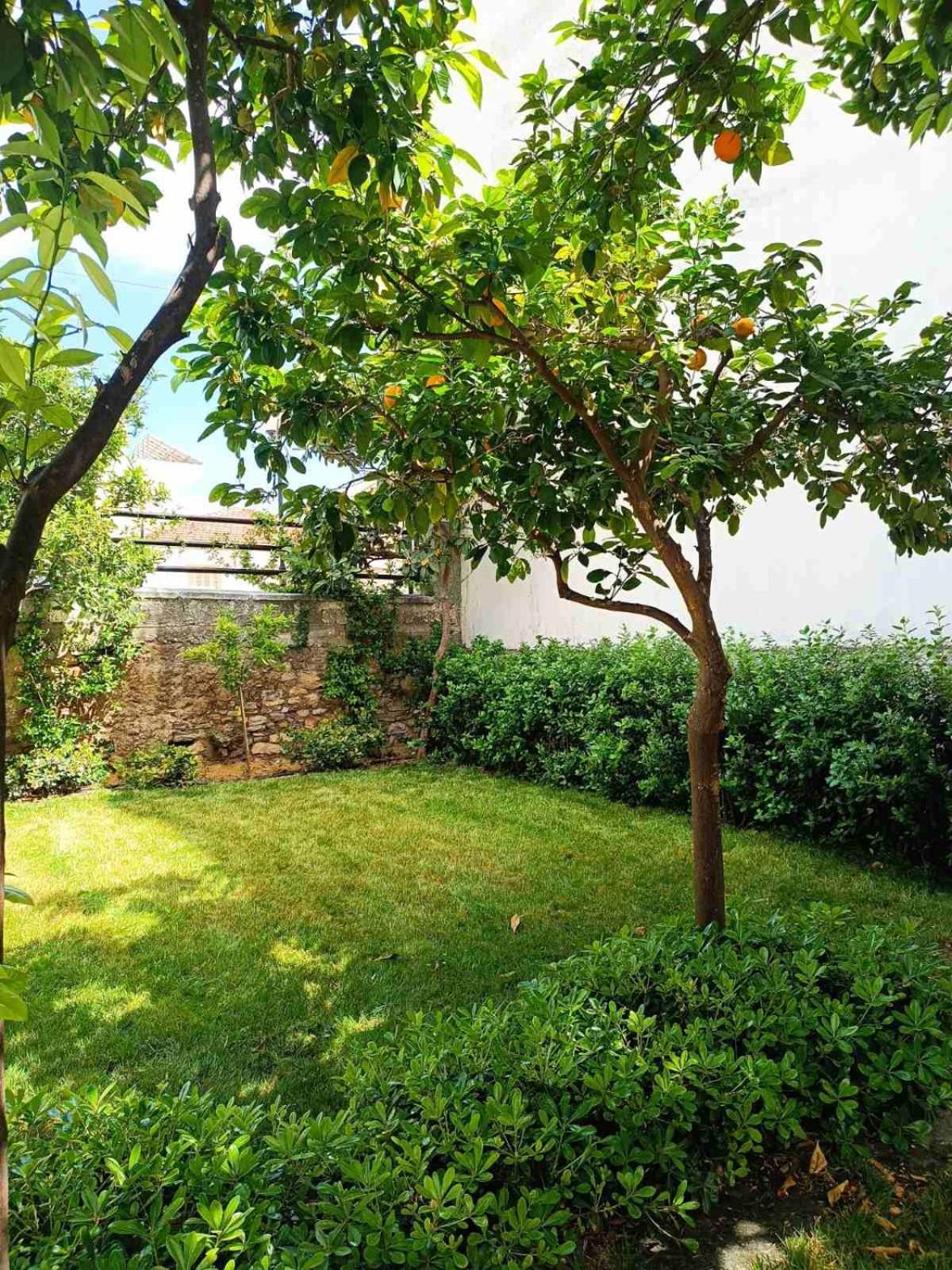 Betty'S Garden House Βίλα Νέα Αγχίαλος Εξωτερικό φωτογραφία
