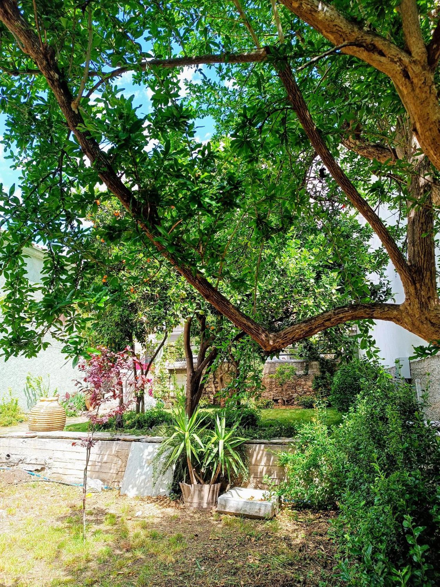 Betty'S Garden House Βίλα Νέα Αγχίαλος Δωμάτιο φωτογραφία